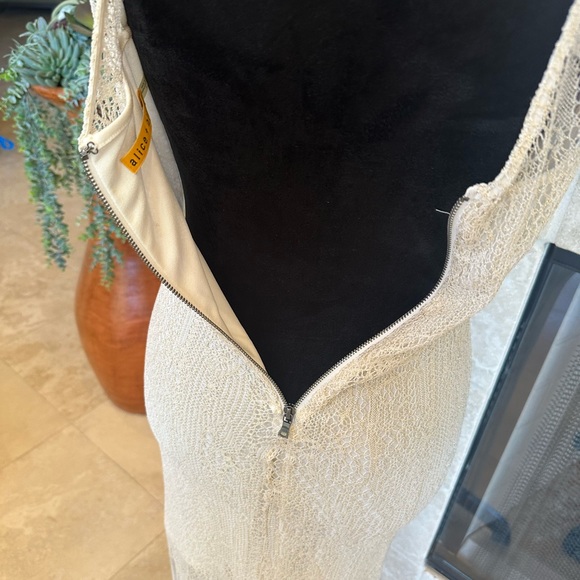 ALICE & OLIVIA Lace & Fringe Dress, Cream/Metallic NWT Size 4 - Picture 9 of 12